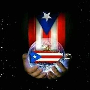 Meet your Posher, Martha